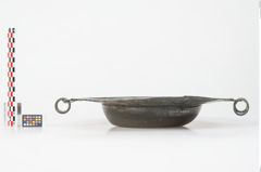 Foto von Bronzebreitrandschale (NHMW-PRAE-024476)